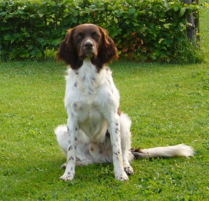 Olinckhoeve