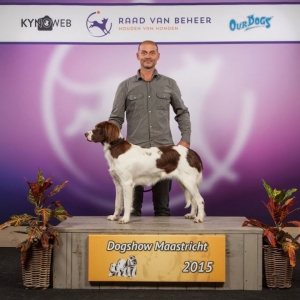 BOB Maastricht 2015