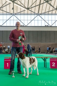Winner show Holland Cup Drentsche Patrijshond