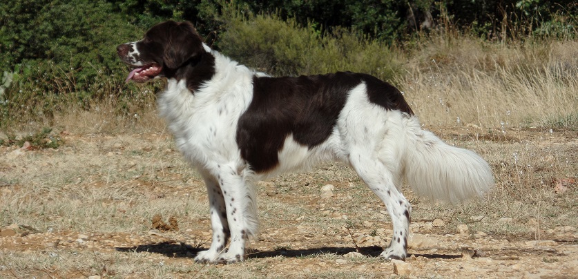 Luuk-in-stand
